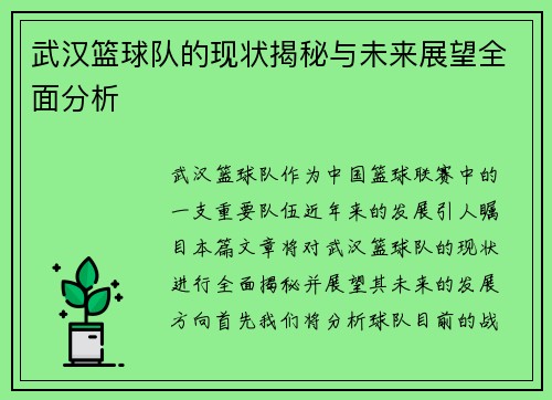 武汉篮球队的现状揭秘与未来展望全面分析