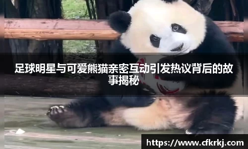 足球明星与可爱熊猫亲密互动引发热议背后的故事揭秘